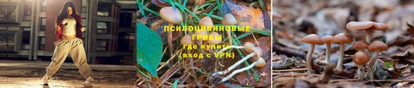 марки lsd Усолье-Сибирское