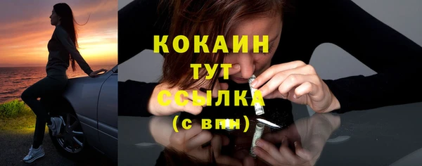 молекула духа Гусиноозёрск