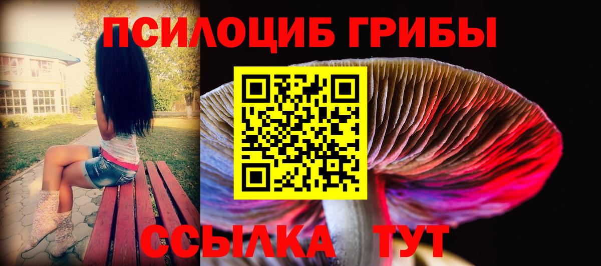 Череповец  Галлюциногенные грибы GOLDEN TEACHER  Вход с VPN 