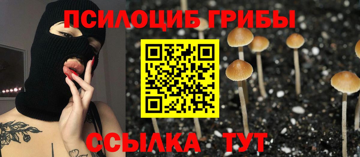 Галлюциногенные грибы Magic Shrooms Череповец